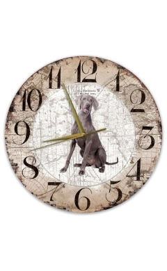 Klok met Weimaraner