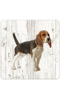 Houten onderzetters Beagle